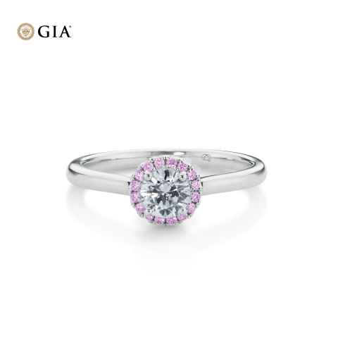 Pink Edition Young Halo Solitaire